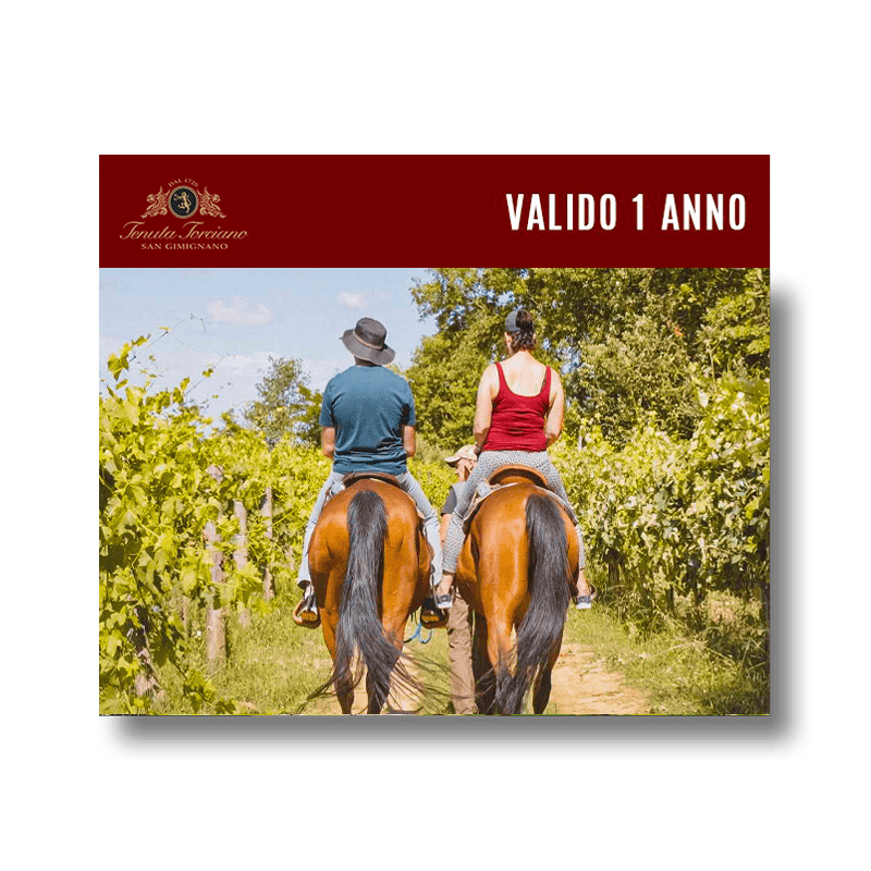 Torciano Hotel - Soggiorno in Toscana, passeggiata a cavallo e degustazione (x 1 persona) - Buono Regalo